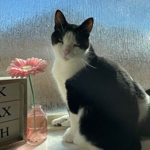 Meet your Posher, Denise